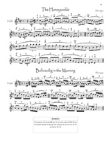 100 Tunes from O'Neill's Music of Ireland - Partition - Violon