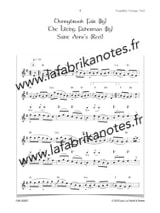 Tourbillon Celtique Volume 1 - Traditionnel - Partition - Saxophone