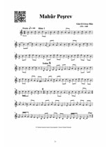 Turkish Classical Music Encyclopedia, vol. 1 - KCHOUK Heykel Dr