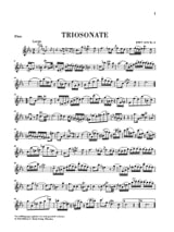 Détail du document https://www.img-music.com/links/jpg/HN0294_0000026055_004.jpg