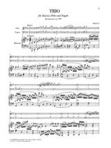 Détail du document https://www.img-music.com/links/jpg/HN0343_0000026275_001.jpg