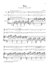 Détail du document https://www.img-music.com/links/jpg/HN0916_0000197904_001.jpg