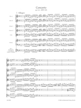 Détail du document https://www.img-music.com/links/jpg/KGABA8344_0000139935_001.jpg