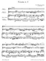 Sonate Es-Dur - 2 Flöten Violinen Bc - Carl Heinrich Graun - Partition