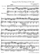 Triosonate Es-Dur - Flöte, Violine Bc o. Flöte u. obl. Cembalo