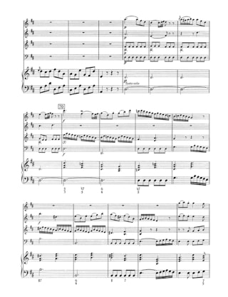 Quintett D-Dur - Flöte Oboe Violine Violoncello Cembalo