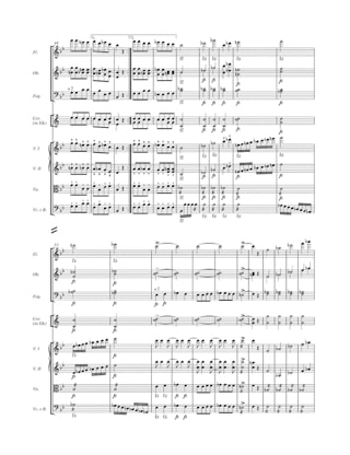 Symphonie Nr. 5 B-Dur D. 485 - Partitur - SCHUBERT - Partition