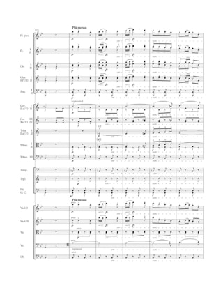 Rhapsodie Slave - Conducteur - DVORAK - Partition - Grand format