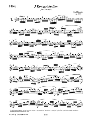 3 Etudes De Concert - Emil Kronke - Partition - Flûte traversière