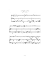 Chants et Danses d'Amérique du Sud - Flûte piano - Sergio Arriagada