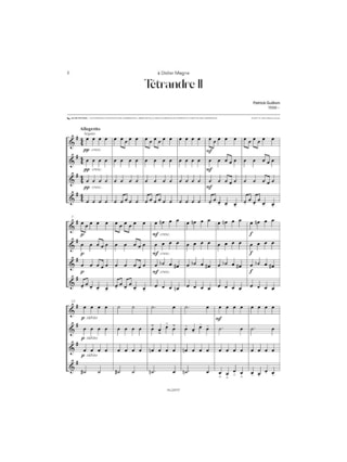 Tétrandre 2 - Patrick GUILLEM - Partition - Guitare