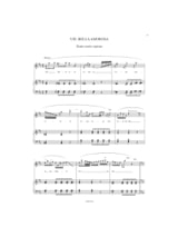 Vocalises minute - Voix Contre-ténor ou haute-contre et piano