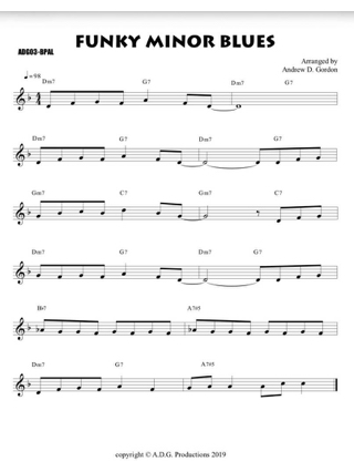 The Blues Play-A-Long and Solos Collection - Beginner Series