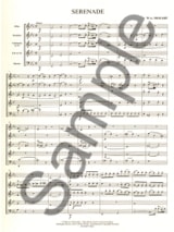 Sérénade en Ut Mineur Kv 388 - Quintette à Vents