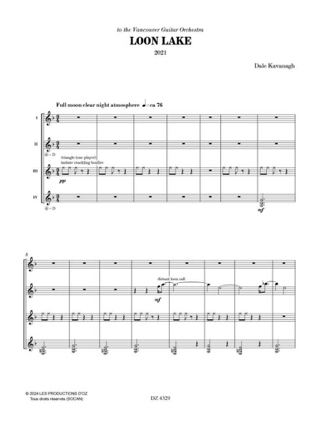 Loon Lake - Dale Kavanagh - Partition