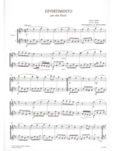 Divertimento - 2 Flauti - Anton Stadler - Partition