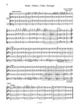 Quatuors pour flûtes avec flûte alto en sol - Partition
