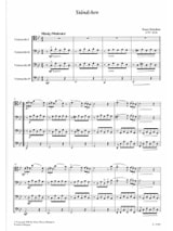 Chamber Music For Violoncellos - Volume 9 - Score + Parts