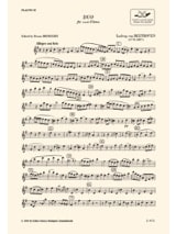 Sonata - 2 flauti - BEETHOVEN - Partition - Flûte traversière