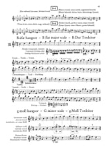 Violin Tutor - Volume 2 - Dénes / Lanyi / Mezö / Skultéty - Partition