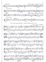 Violin Tutor Vol 5-6 - Denes - Partition