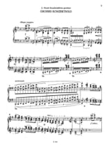 Sonate et autres pièces Série 1, Volume 5 - LISZT - Partition - Piano