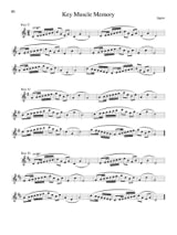 Intermediate Studies for Developing Artists on the Flute