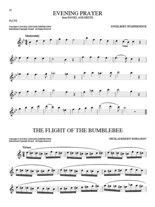 101 Classical Themes - Flute - Auteurs Divers - Partition