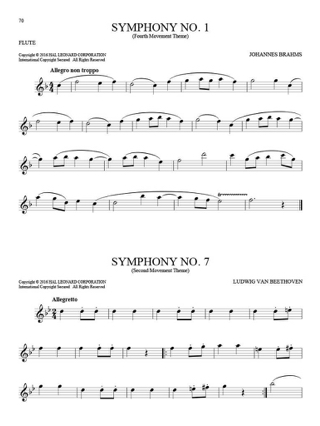 101 Classical Themes - Flute - Auteurs Divers - Partition