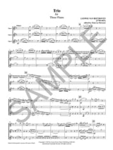 Trio - 3 Flûtes - BEETHOVEN - Partition - Flûte traversière