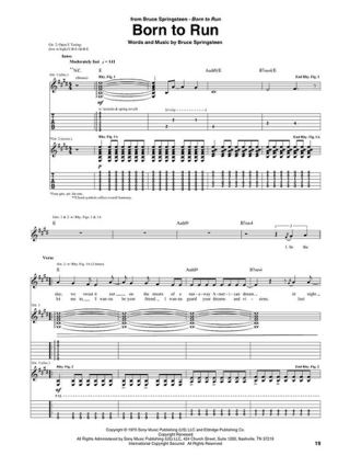 The Bruce Springsteen Guitar Collection - Bruce Springsteen