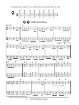 Teach Yourself Bluegrass Mandolin - Andy Statman - Partition