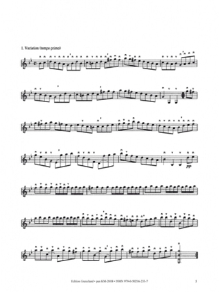 La Fustemberg Variationen - Antonio Riggieri - Partition - Mandoline