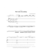 The Lark Ascending - WILLIAMS VAUGHAN - Partition - Violon