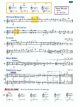 Accent On Achievement - Book 1 (Flute) - Mark Williams & John O'Reilly