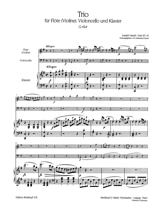 Plus de détails sur le document https://www.img-music.com/links/pdf/9790004160411_0000049195.pdf