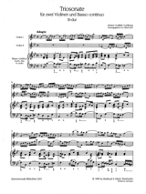 Plus de détails sur le document https://www.img-music.com/links/pdf/9790004501665_0000048881.pdf
