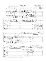Fantaisie sur un thème de Beethoven - Flûte et piano - Franz Doppler