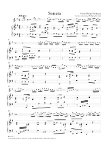 Sonate Nr. 6 G-Dur Und Musicalischer Circul