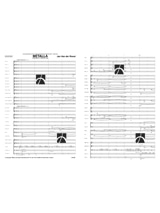 Plus de détails sur le document https://www.img-music.com/links/pdf/dhp 0991495-140_0066087385_001.pdf