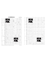 Plus de détails sur le document https://www.img-music.com/links/pdf/dhp 1135523-120_0066087048_001.pdf