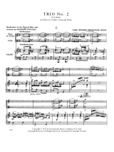Trio n° 2 a minor - Flute violin clarinet viola piano