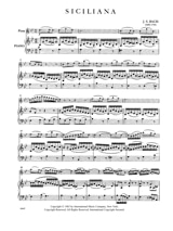 Album of 30 Classical Pieces Vol. 1 - Flute - Partition