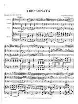 Trio sonata C minor - Parts - BOCCHERINI - Partition - Trios