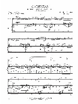 Cadenzas Concerto Mozart Kv 299