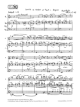 Plus de détails sur le document https://www.img-music.com/links/pdf/ue13015_0000004461_001.pdf