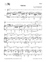 Play-Along Violon / Piano +CD - Russia - Partition - Violon